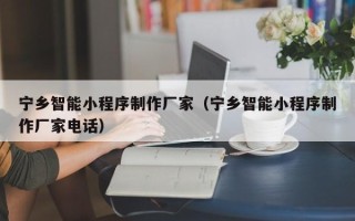 博兴宁乡智能小程序制作厂家（宁乡智能小程序制作厂家电话）